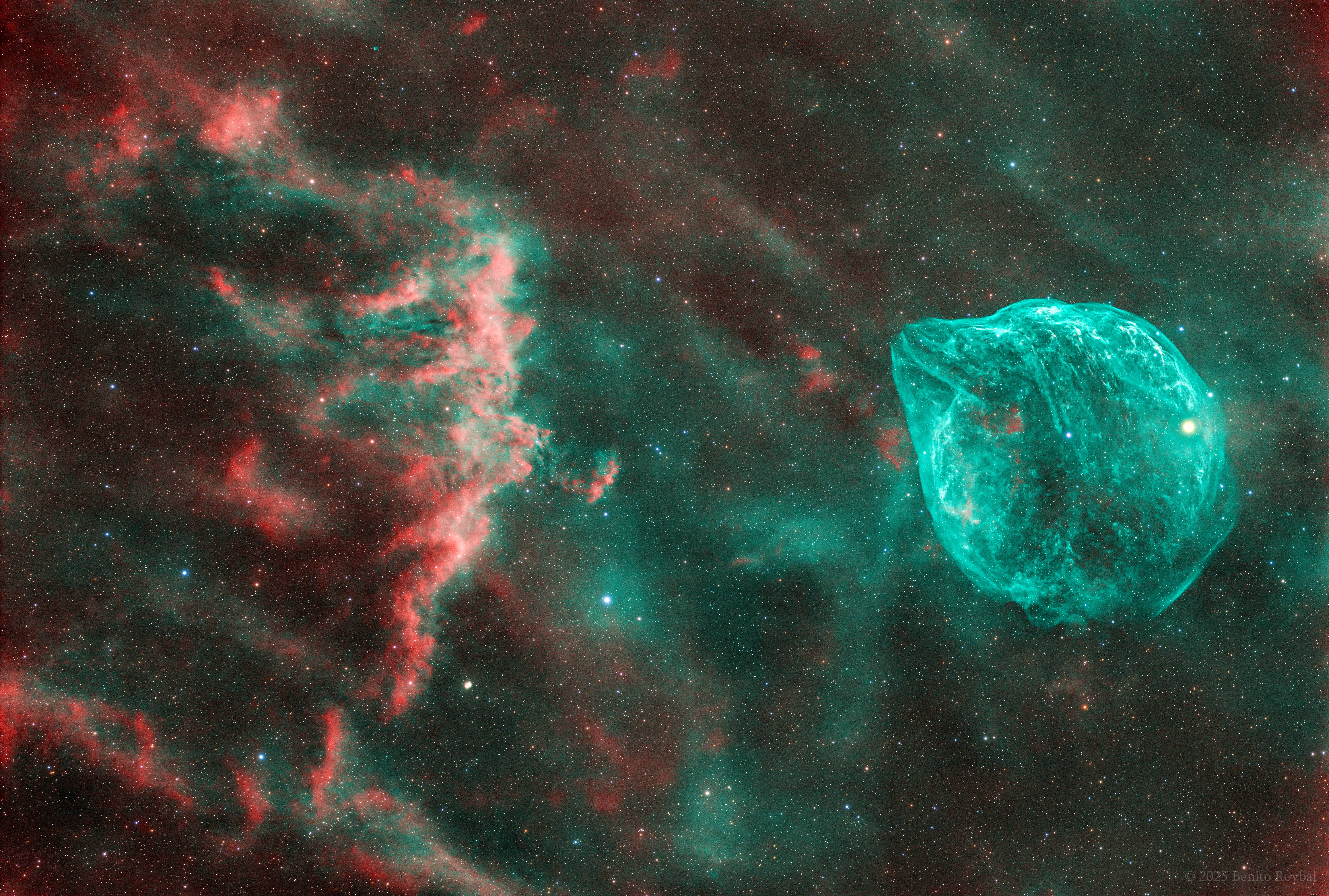 The DolphinHead Nebula