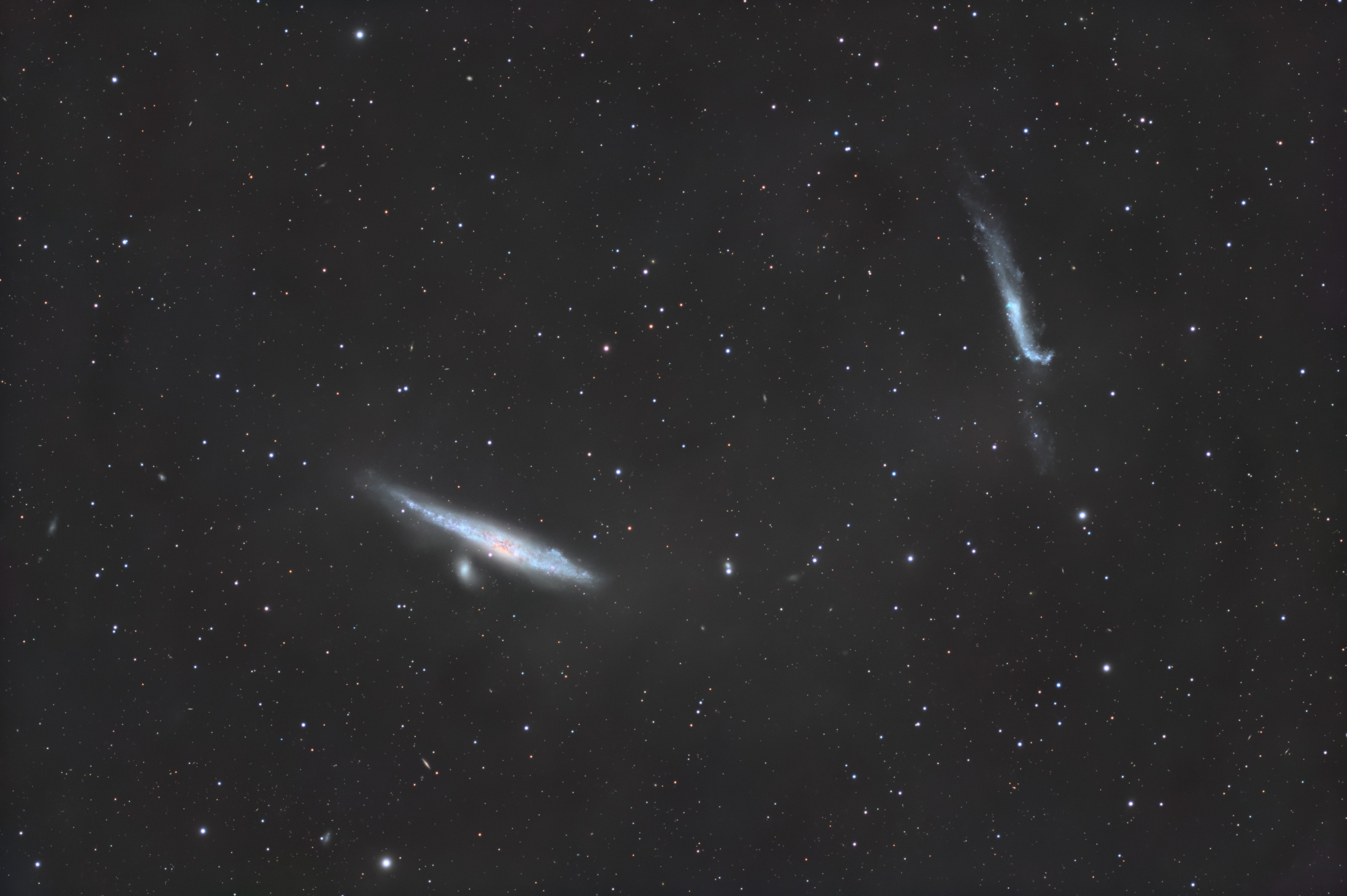 The Whale Galaxy
