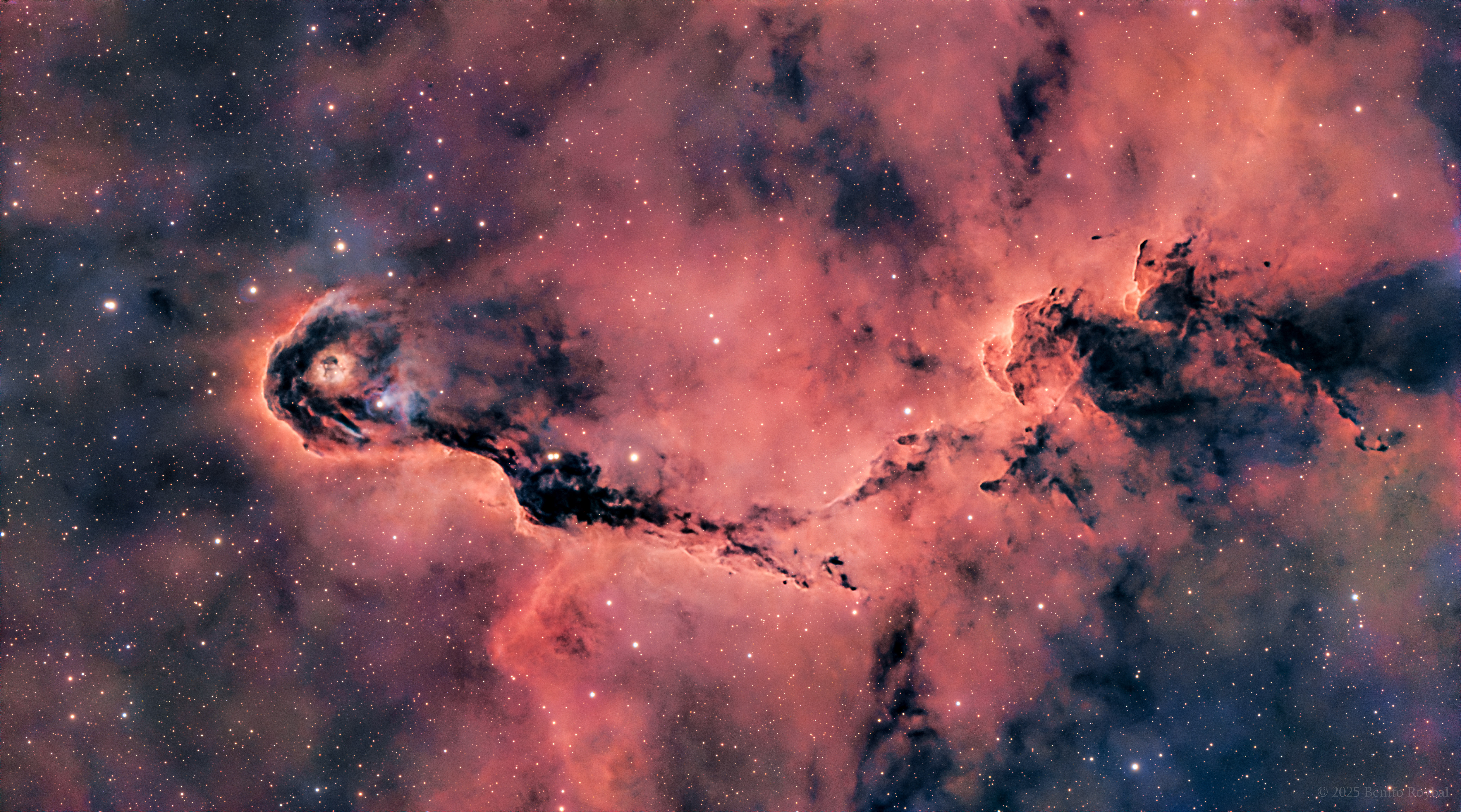 The Elephant's Trunk