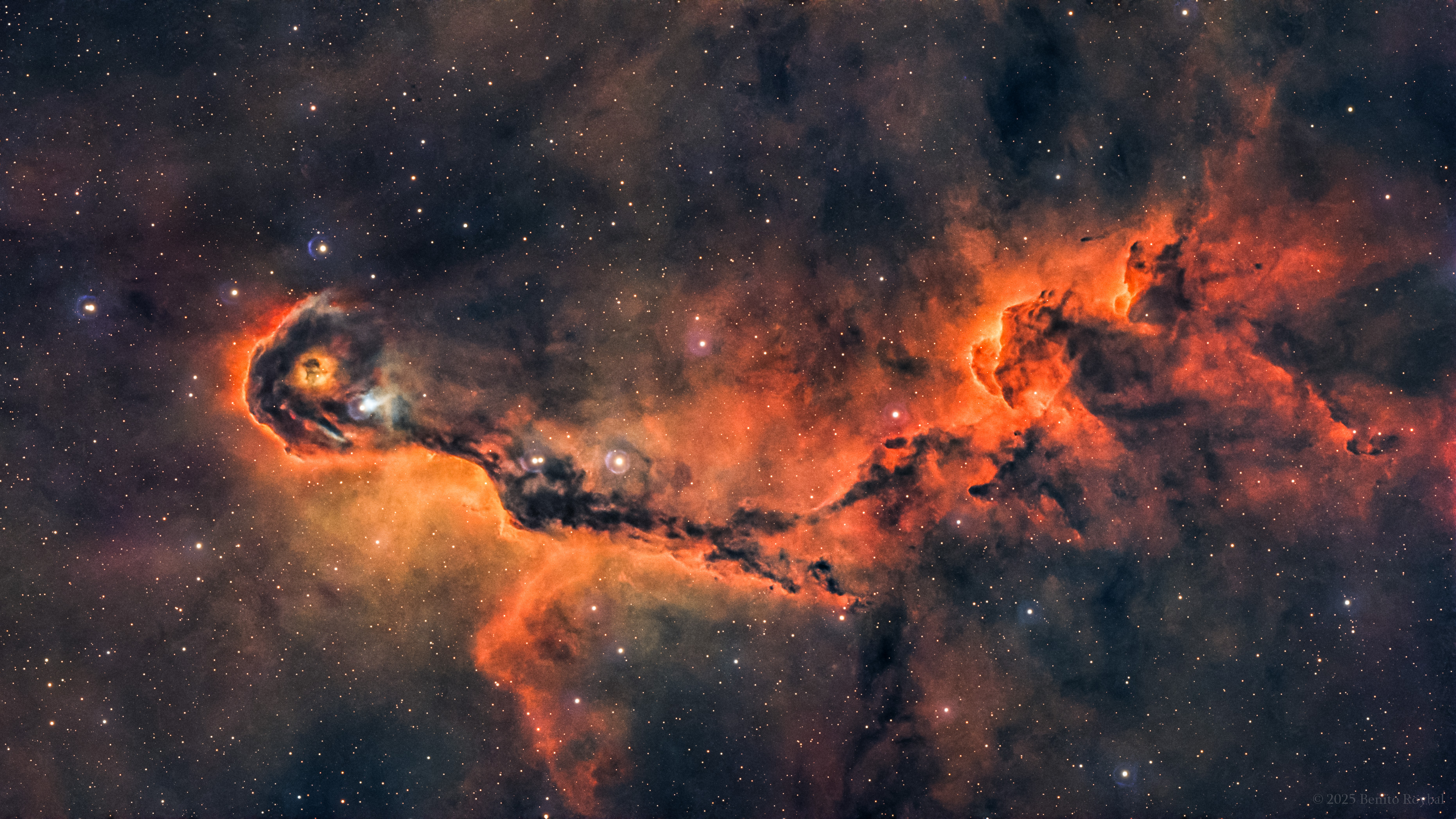 The Elephant's Trunk