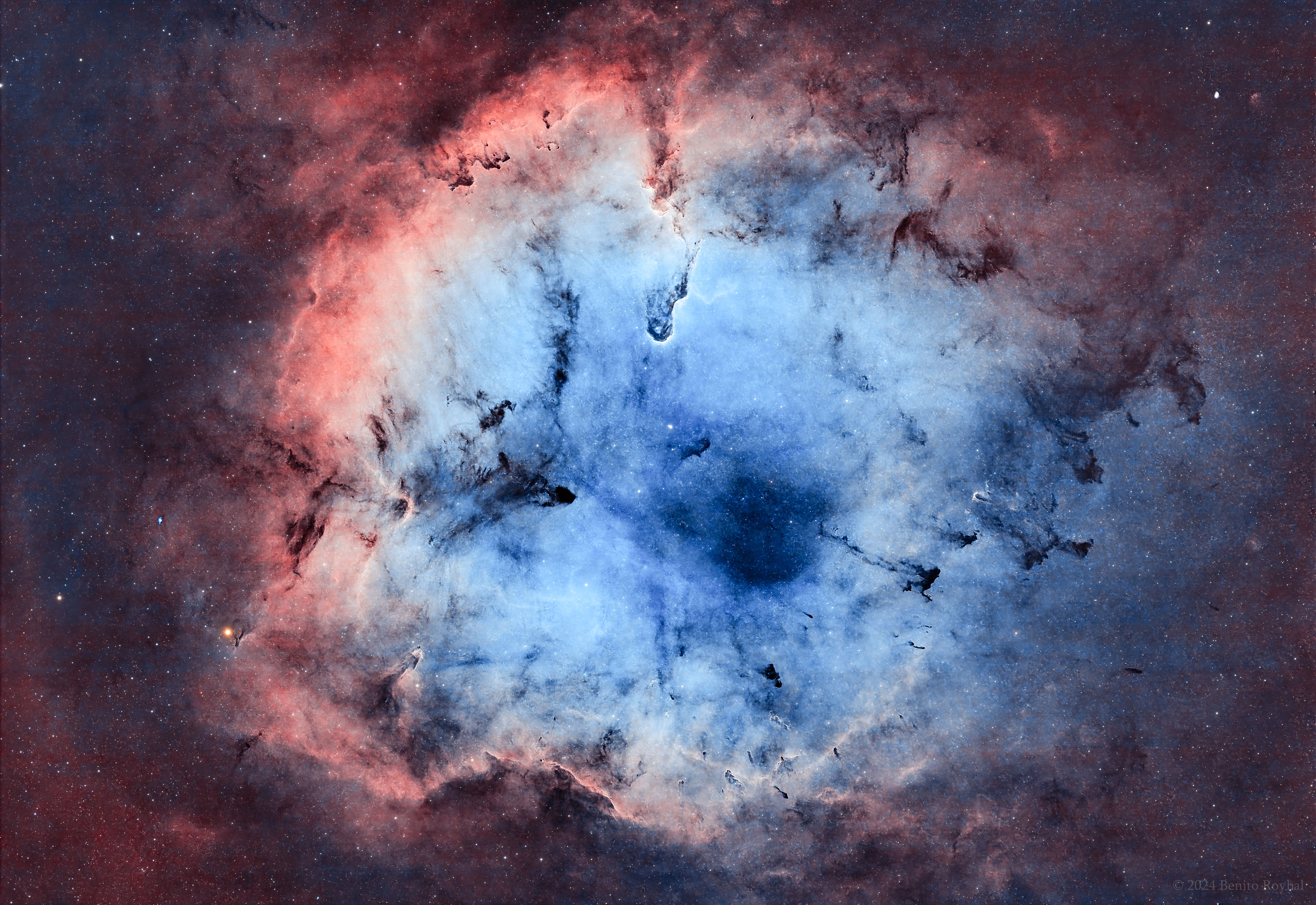 The Elephant's Trunk