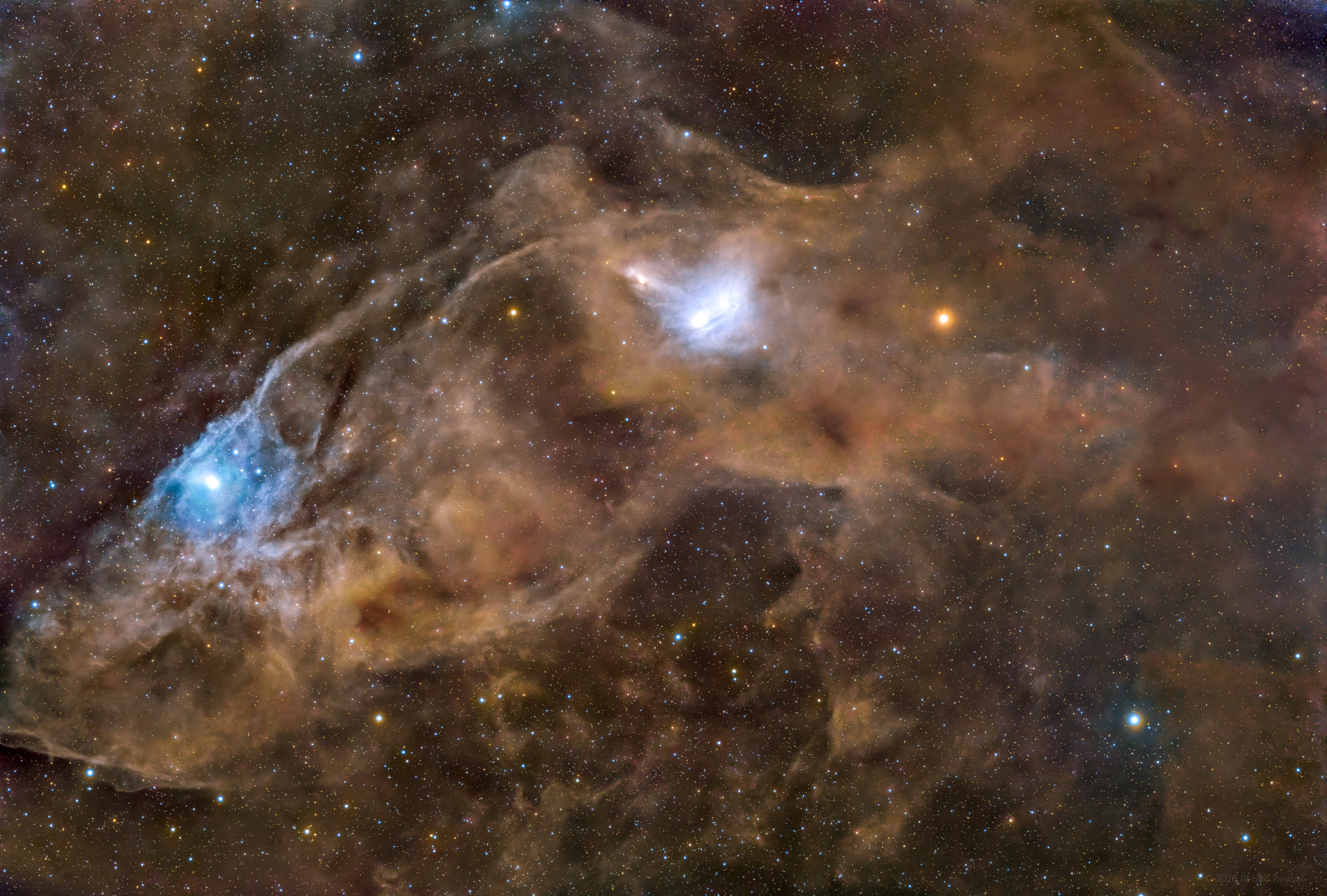 The Blue Horsehead Nebula