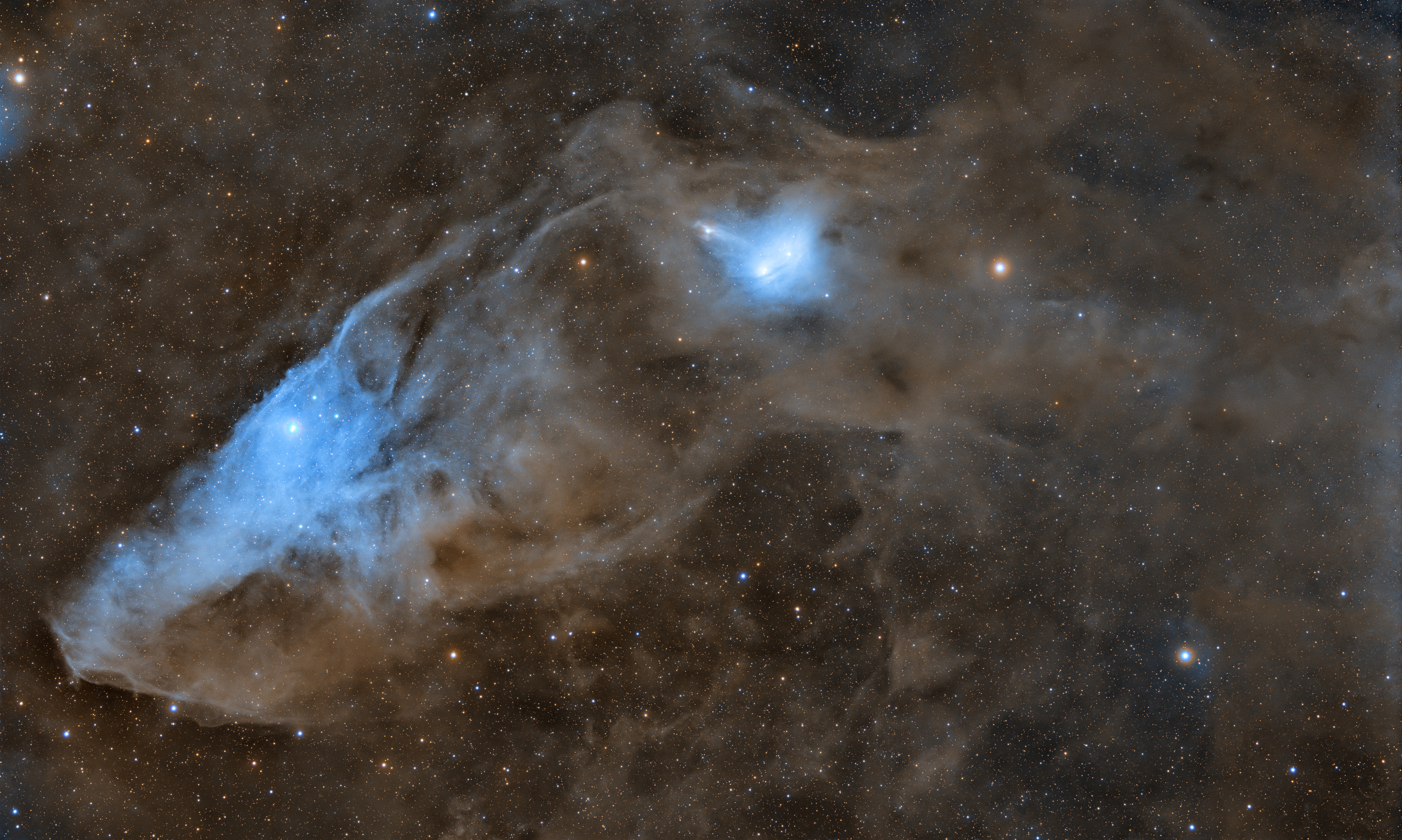 The Blue Horsehead Nebula