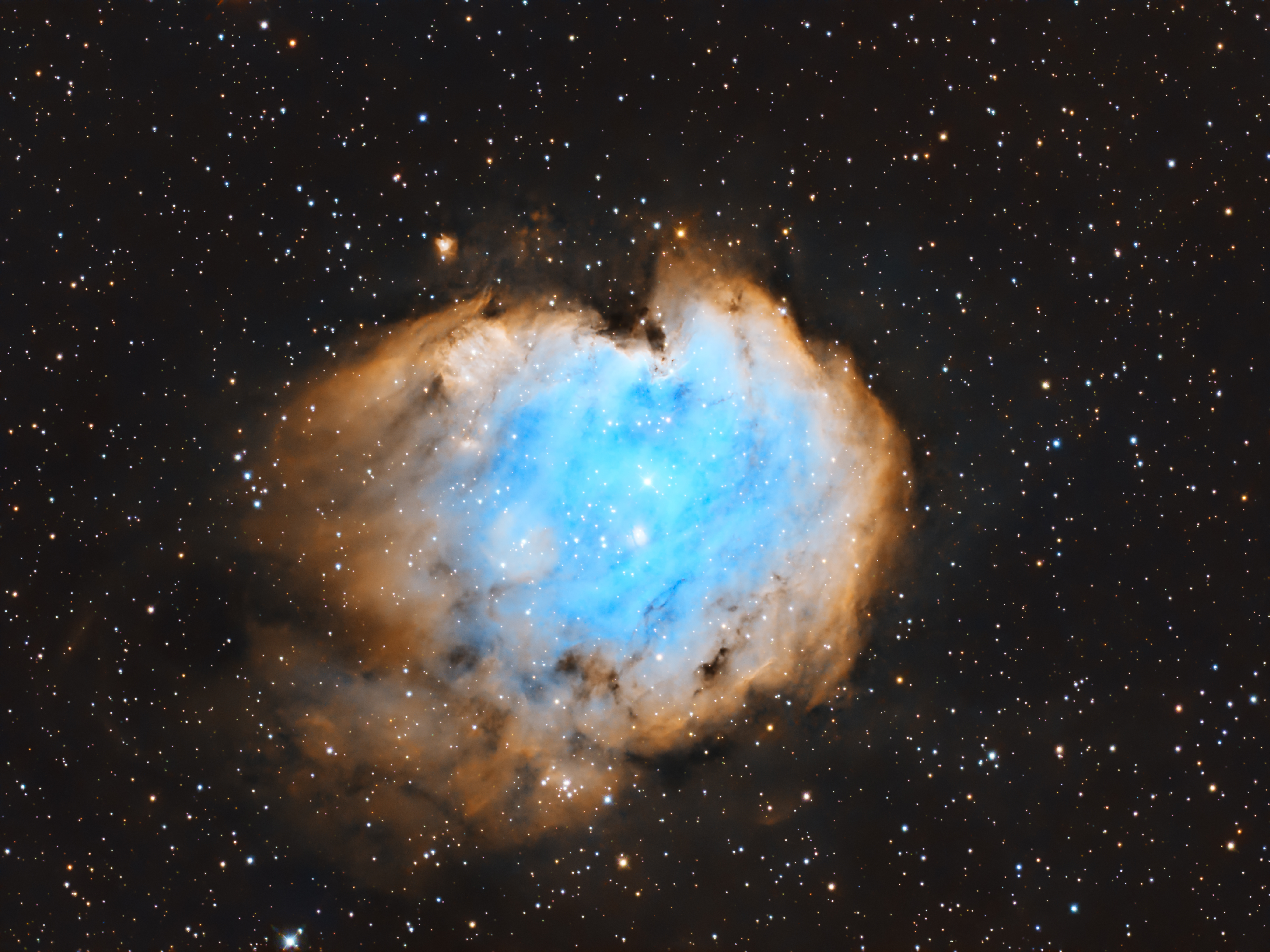 The Monkey Head Nebula