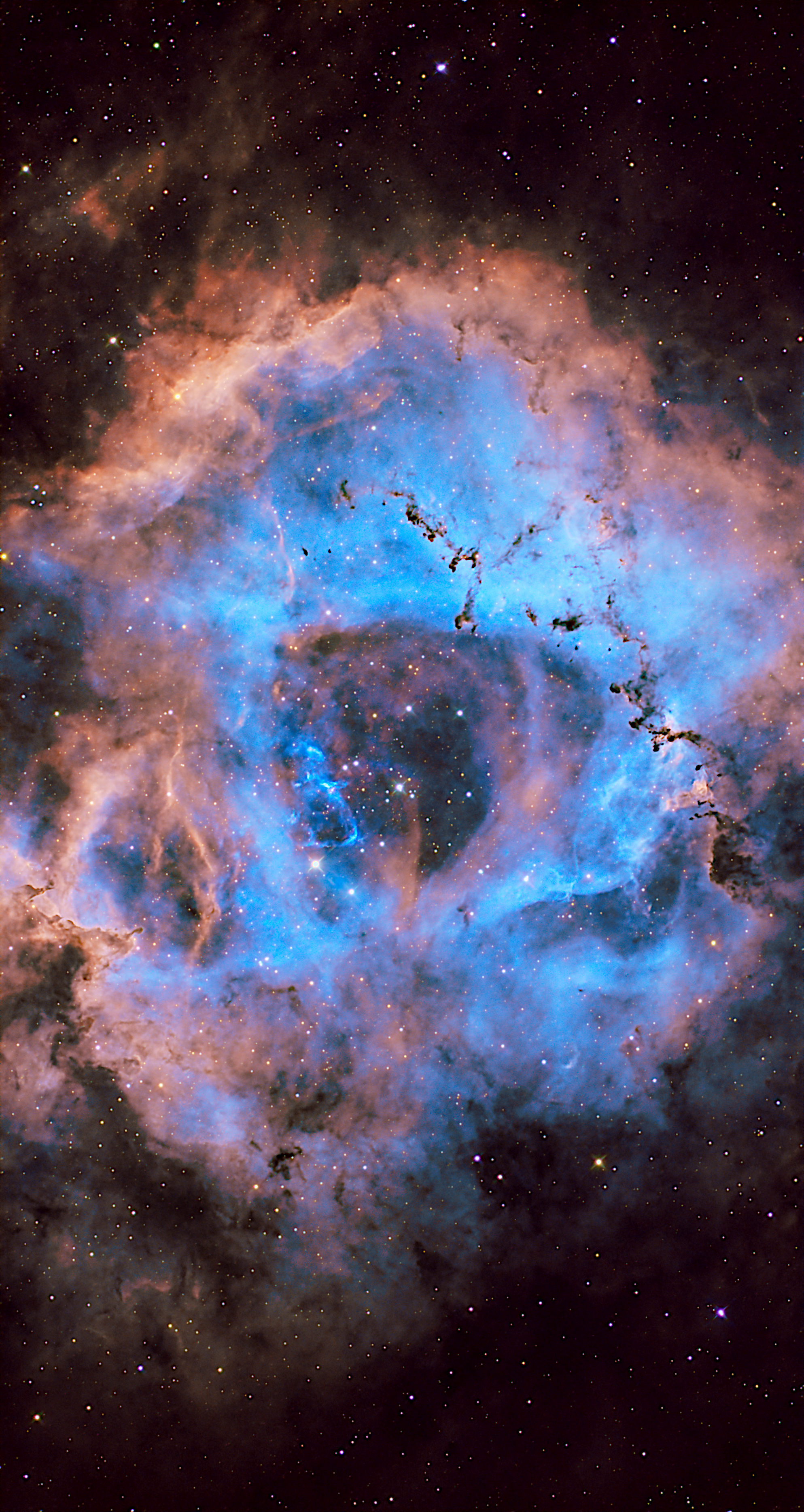 The Rosette Nebula