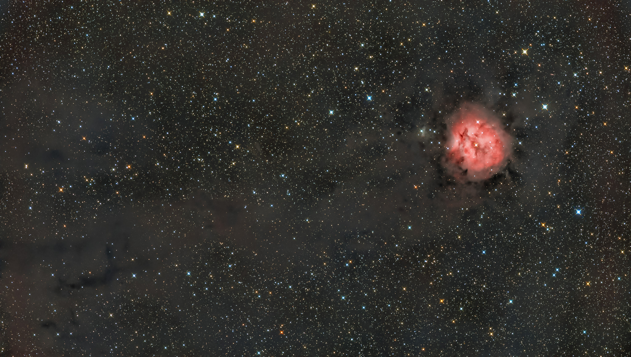 The Cocoon Nebula
