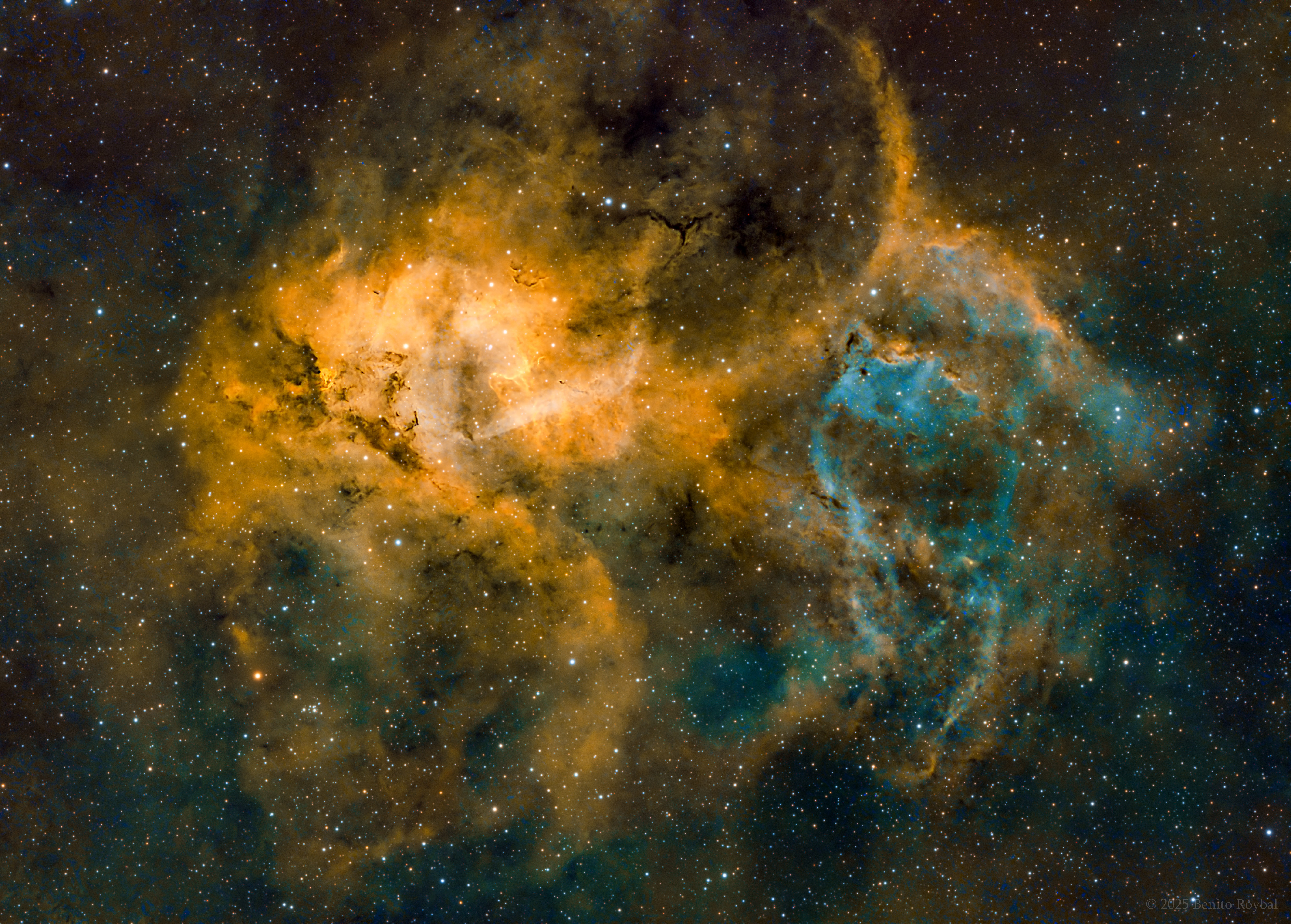 The Lion Nebula