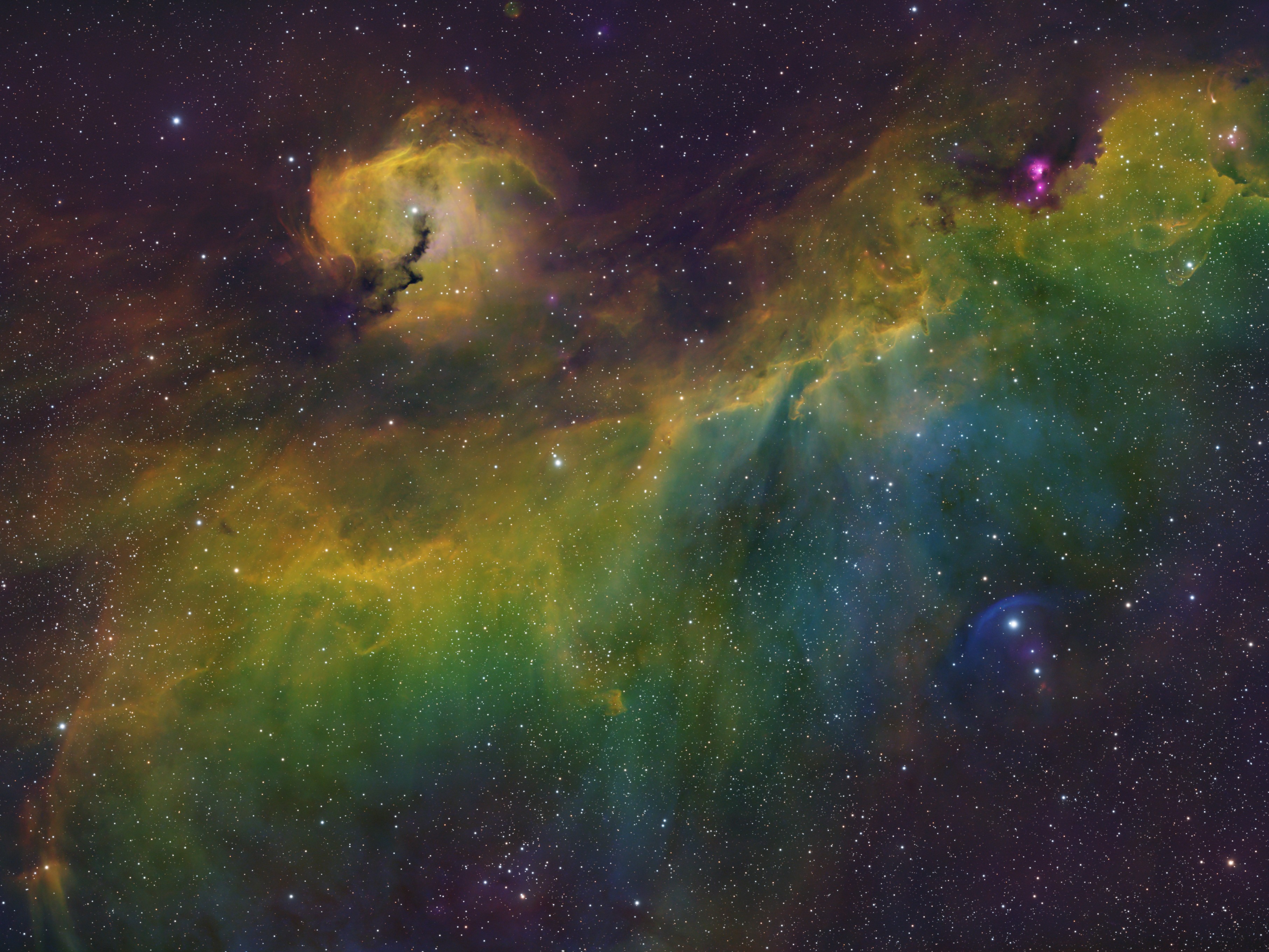 The Seagull Nebula