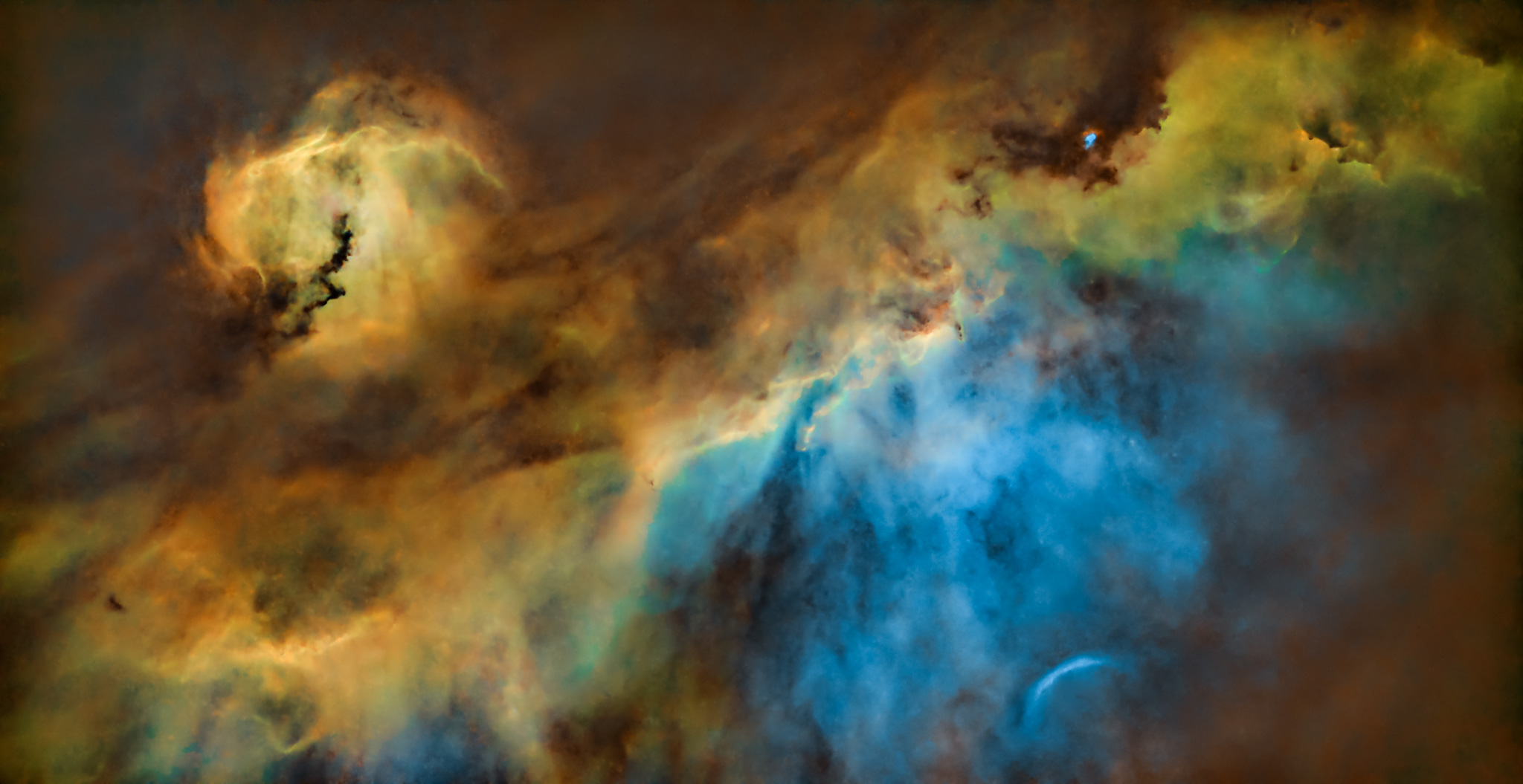 The Seagull Nebula