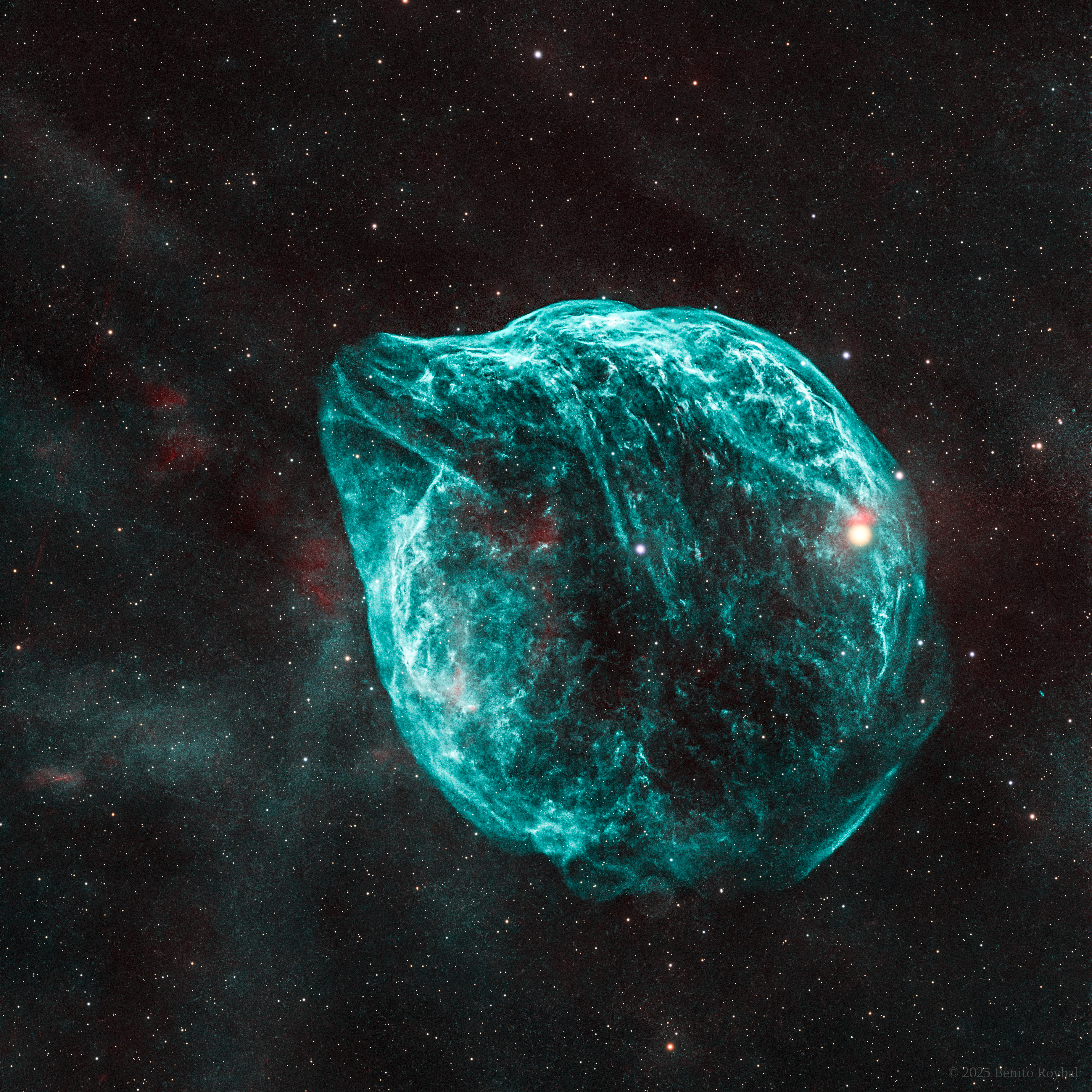 The Dolphin Head Nebula